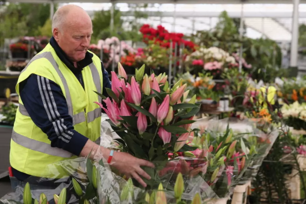 Spring Gardening Extravaganza to be Held Saturday In Hermantown