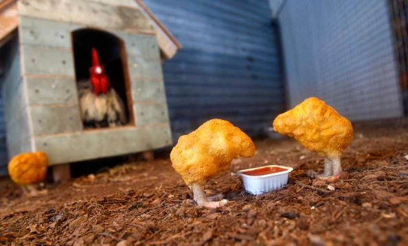 McDonalds Makes Video To Show How Chicken Nuggets Are Made to Dispel Pink  Slime Claims [VIDEO]