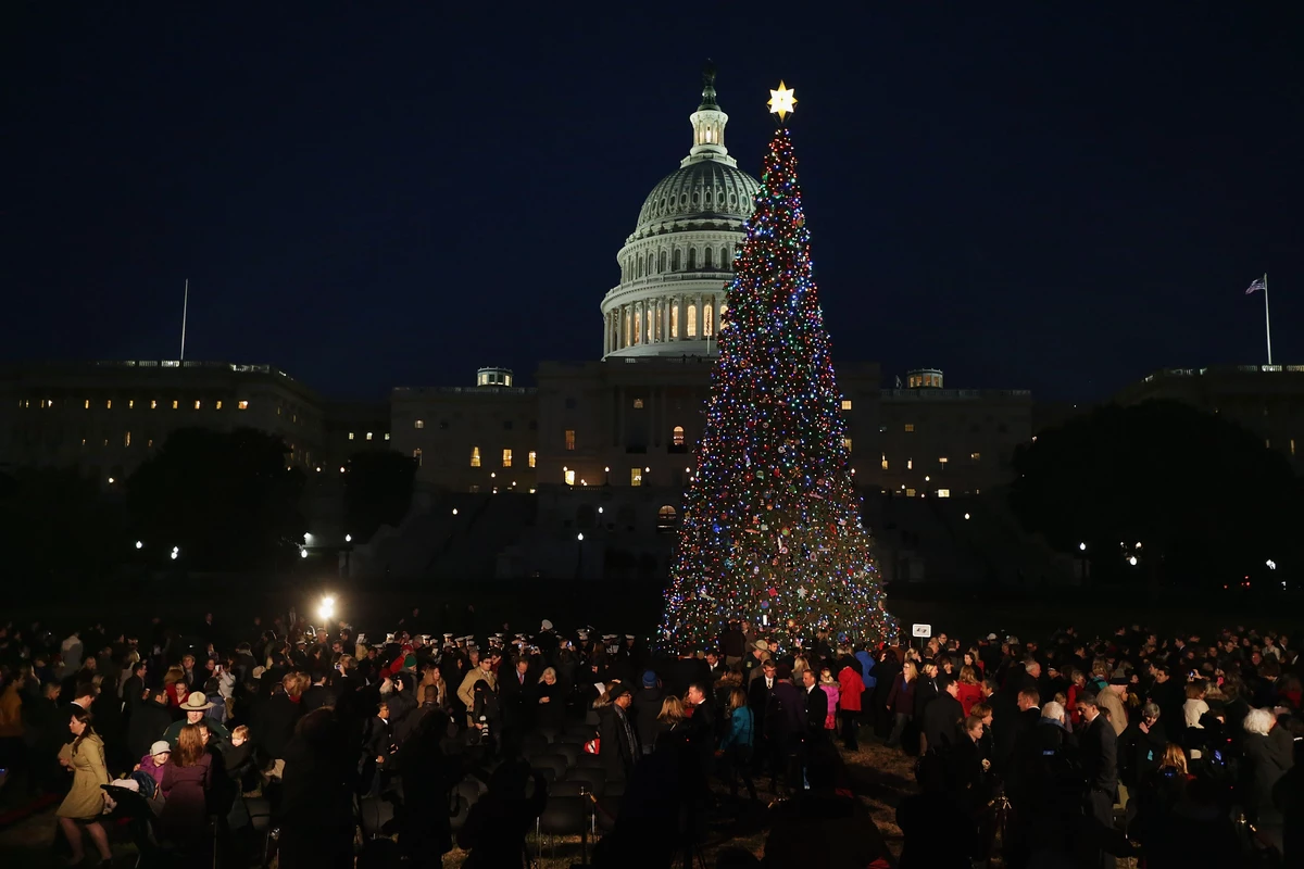 U.S. Capitol Christmas Tree To Make First Appearance In Minnesota; Get