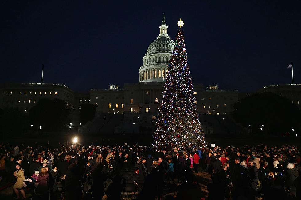 U.S. Capitol Christmas Tree To Make First Appearance In Minnesota; Get Schedule Of Events Here