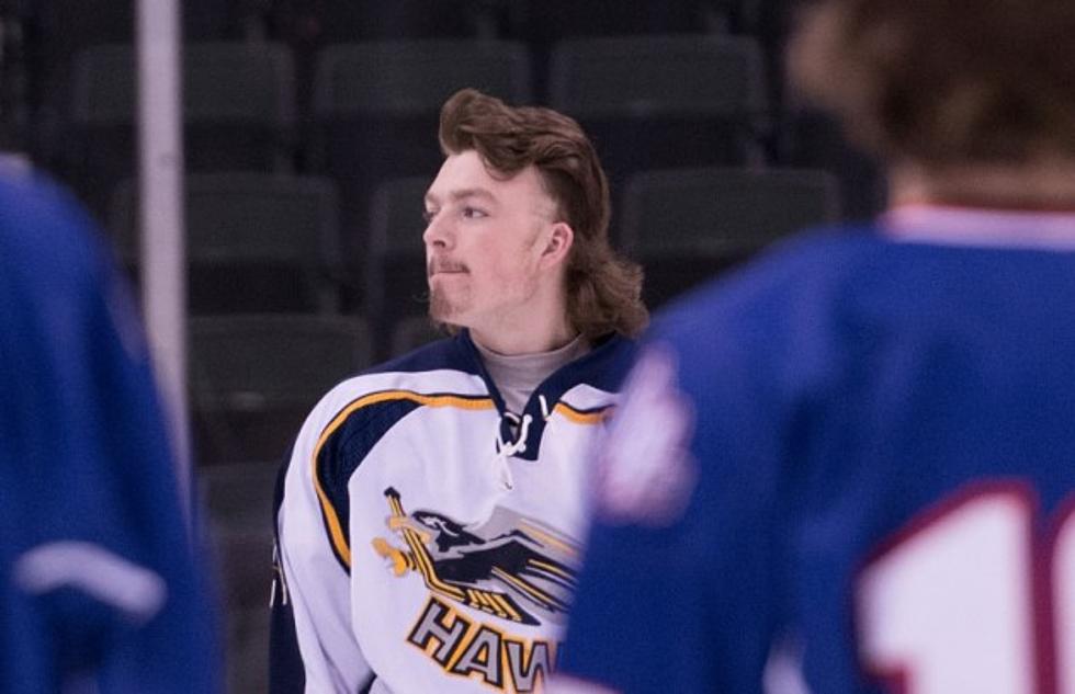 Hermantown & Duluth East Get Mentions in The Minnesota State High School All Hockey Hair Team [VIDEO]