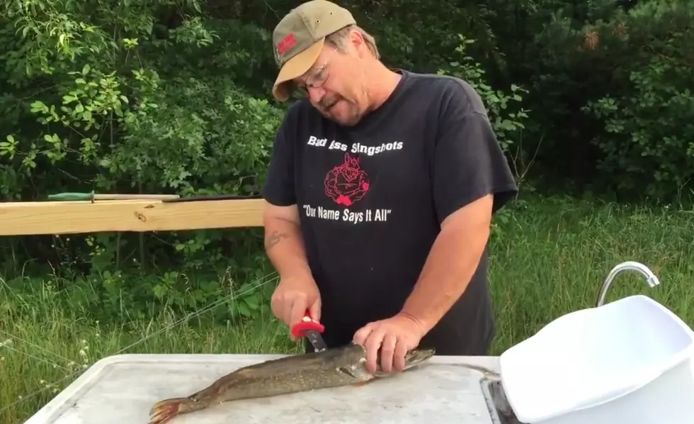 DNR Urgers Anglers to Fish For Abundant Northern Pike on Mille Lacs Lake, Here’s How To Clean Them [VIDEO]