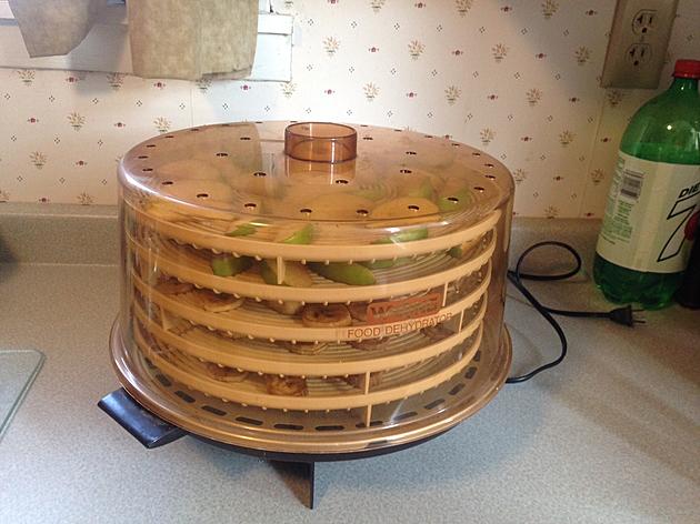 Does Anyone Else Have These Old Food Dehydrators?
