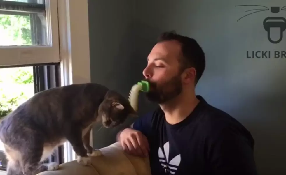 Lick Your Cat With This New Kickstarter Cat Brush