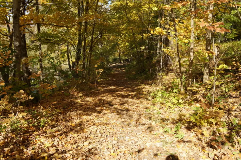 Flood Damaged Trail Restoration in Duluth’s Western Corridor to be Completed This Summer