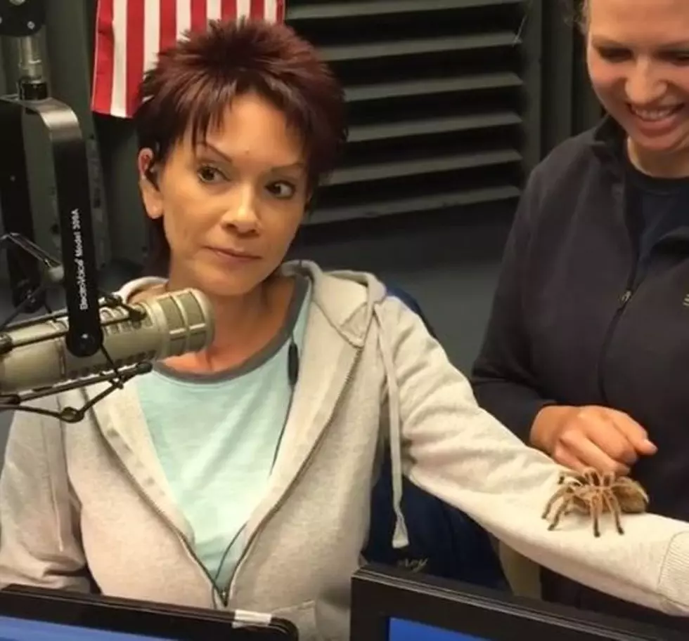 Cathy Shows No Fear, Ken Freaks with Rosie a Lake Superior Zoo&#8217;s Tarantula [VIDEO]