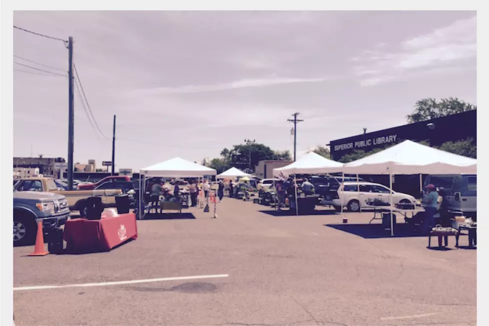 Make Your Lunch Plans, Superior BID Farmer&#8217;s Market Offers Two Food Vendor This Week