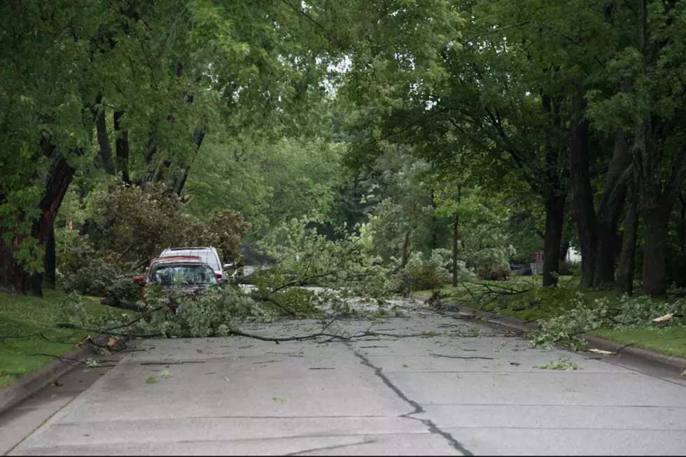 City Of Duluth Offers Residential Curbside Pick Up Of Storm Debris Starting Monday