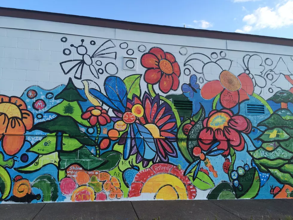 Community Mural Painting Project Adds Color To Superior