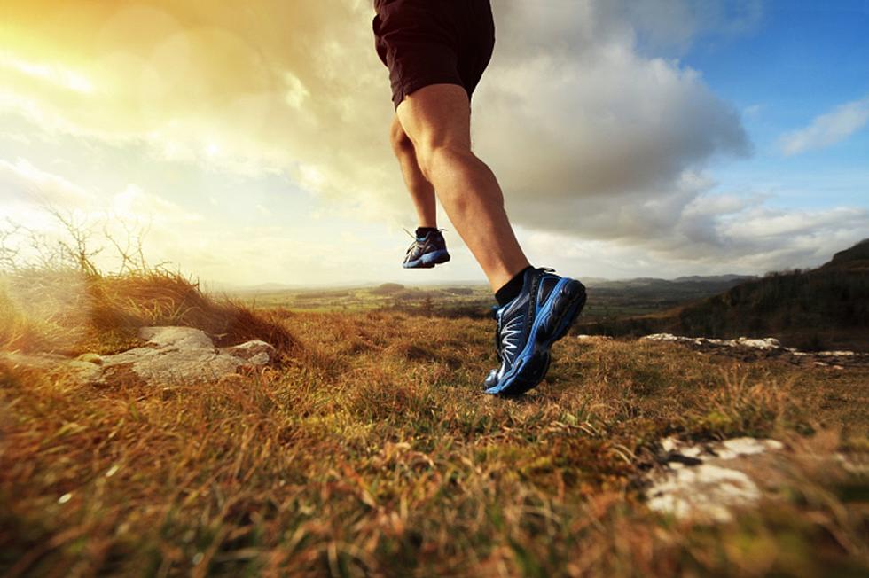 Run Like an Animal 5K Walk/Run Race is Saturday at Lake Superior Zoo