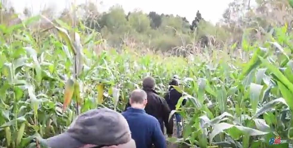 Watch the B105 Crew Walk the Engwalls Corn Maze in Hermantown [VIDEO]