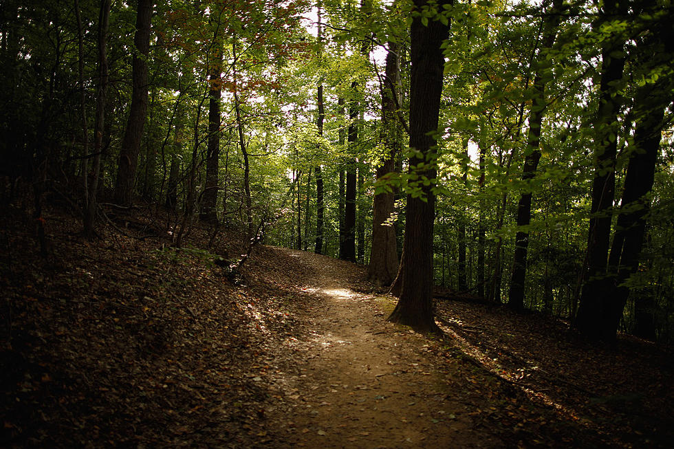 Washout Forces Closure of a Portion of Chester Park Trail