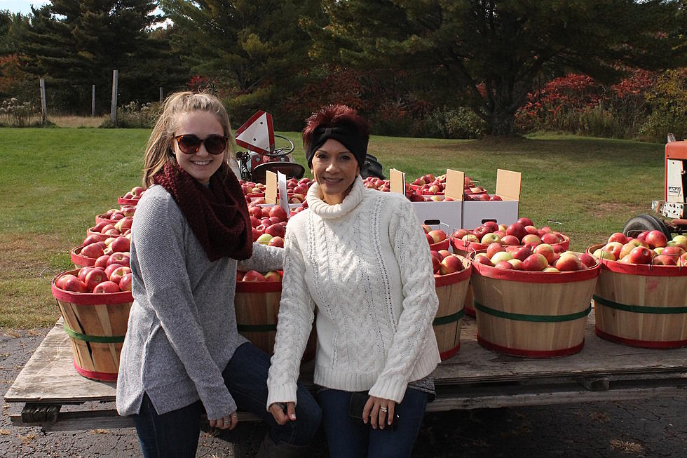 Feel The Crisp Autumn Beauty Of Ashland And The Bayfield Apple Festival With Pictures [Photo Gallery]