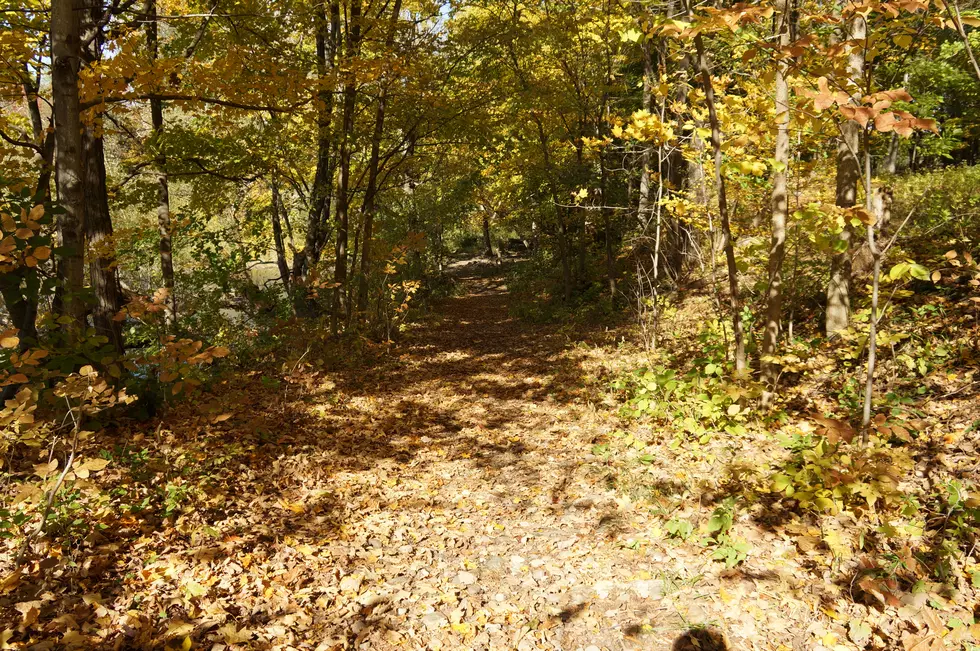 After Suffering Summer Storm Damage, Hartley Park Has Reopened