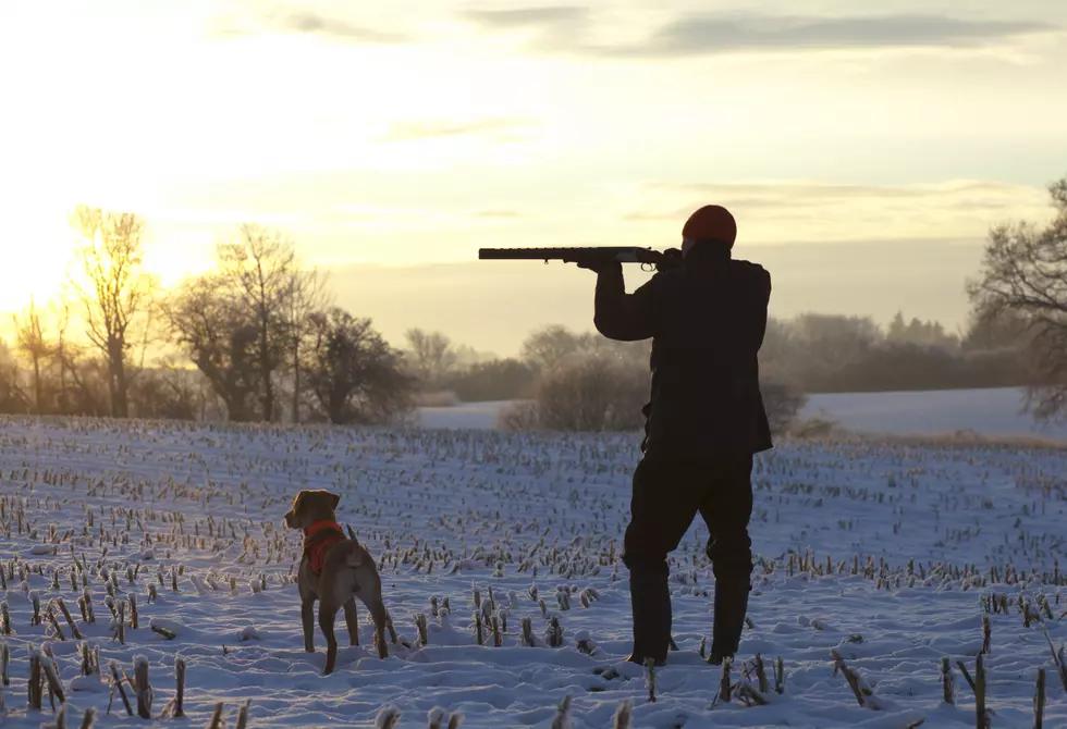 New DNR Online Tool Will Help You Find Public Hunting Land