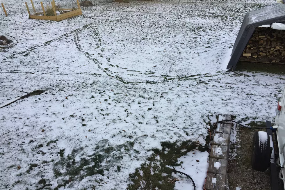 Footprints In Our Yard Spurred Investigation, Guess Who They Belonged To