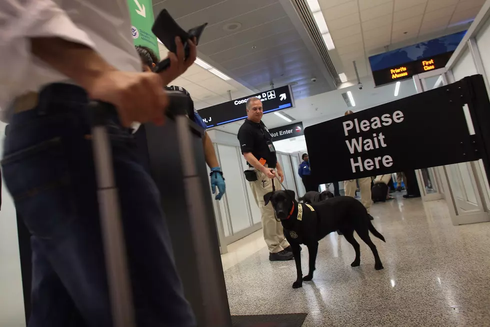 Airline Security Now Includes A Stroll Past A Police K-9