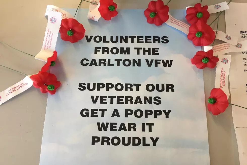 What Is The Significance Of The VFW Poppy Flower?