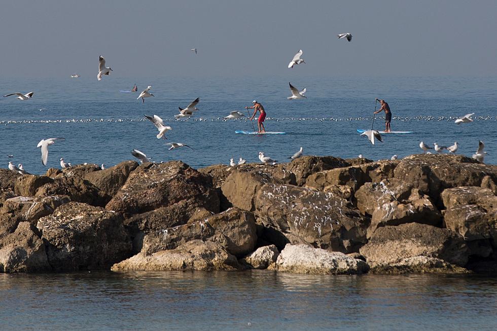 Do I Need To Register My Stand Up Paddle Board With The DNR?