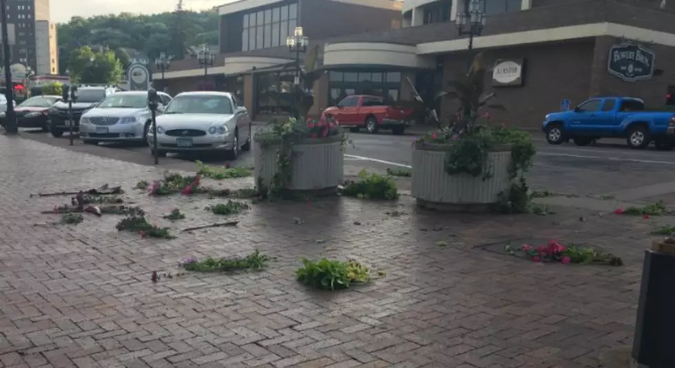 Some Jerk Ripped Up Flowers In Downtown Duluth
