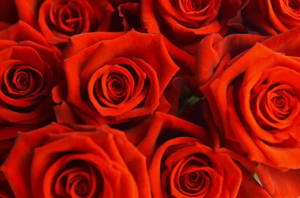 Annual Rotary Rose Day Helps The Community; Order Yours Here