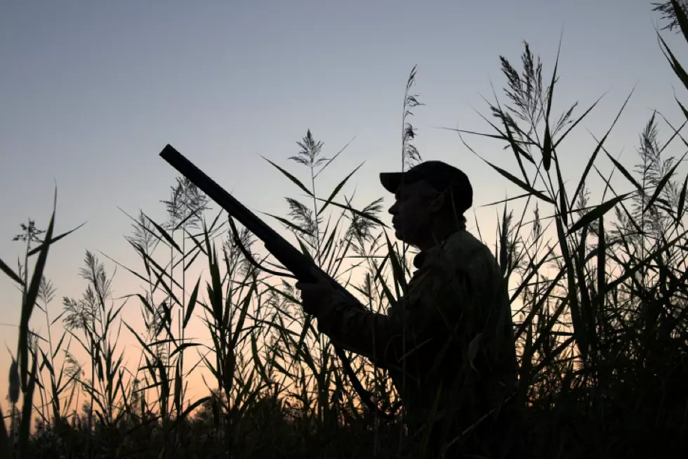 Learn To Turkey Hunt Through the Minnesota DNR