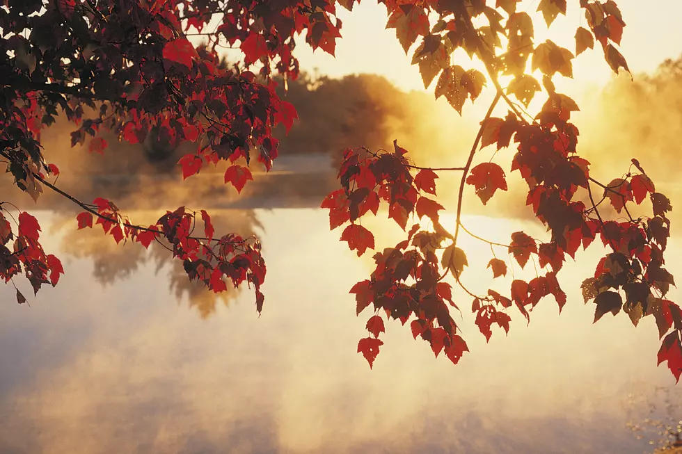 5 Reasons To Get Excited For Fall In The Northland