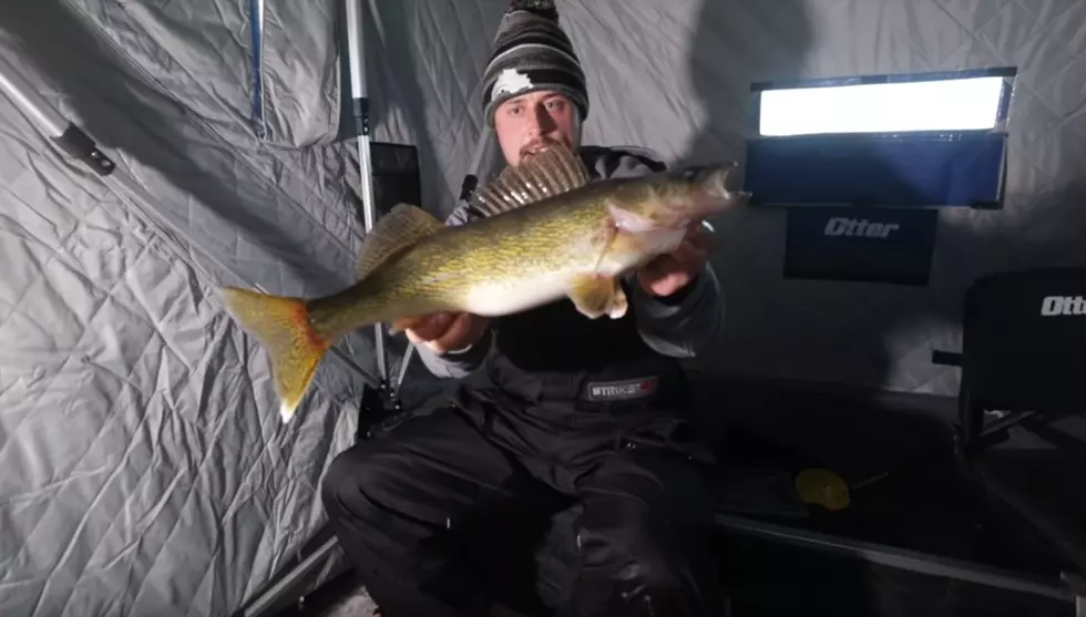 Video Shows How You Can Catch Walleyes in 90 Minutes in Duluth