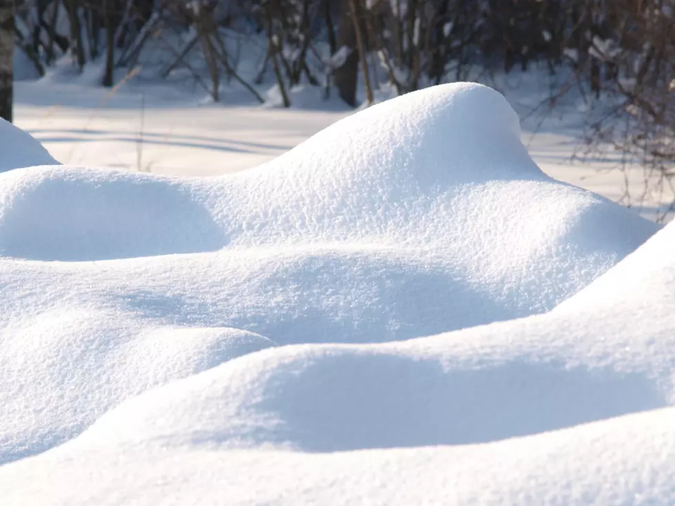 Wisconsin Family’s Minivan Door Left Open In Blizzard, Leaves Mess You Need To See