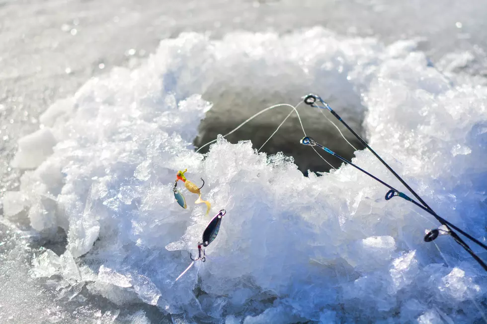 St. Scholastica Student Captures Video Of A School Of Fish On Lake Superior