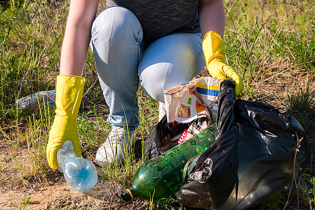Duluth Parks Hosting Clean Up Projects, Needs Volunteers