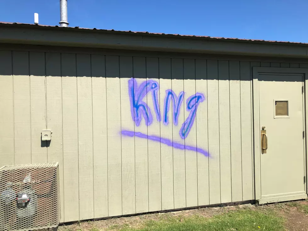 Wade Bowl Graffiti Suspect Apprehended By Superior Police Department