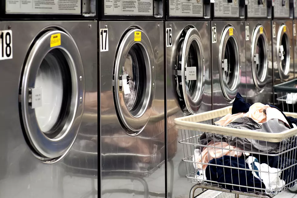 Minnesota Cat Survives 35-Minute Washing Machine Cycle