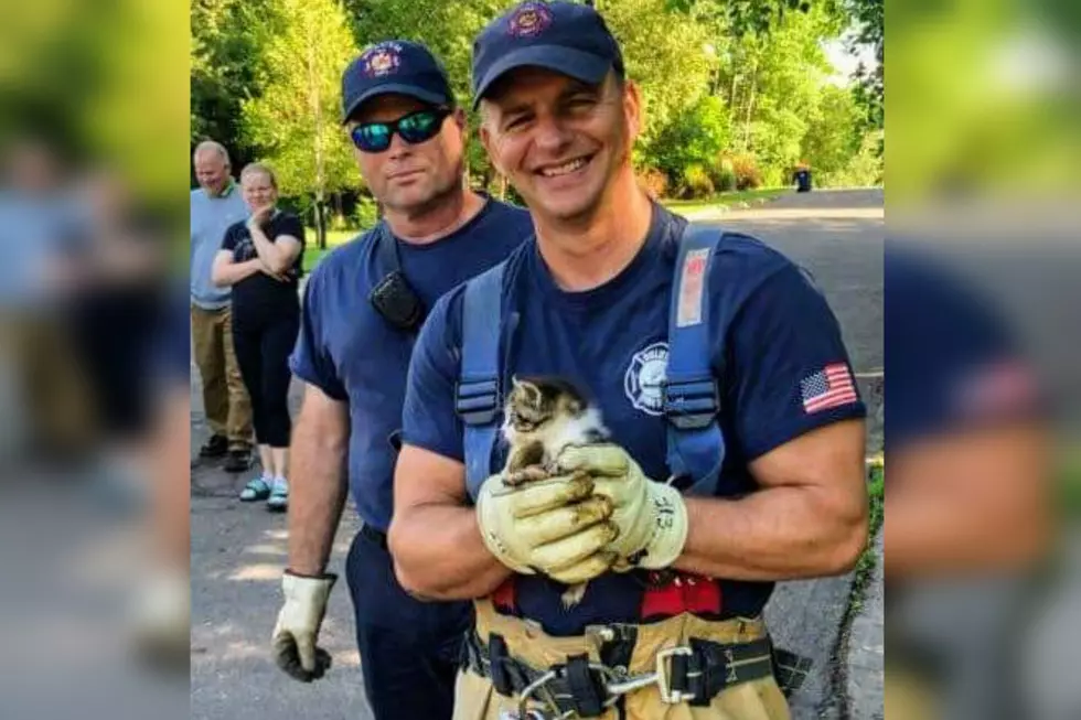 Duluth Fire Department Rescues Kitten From Storm Drain