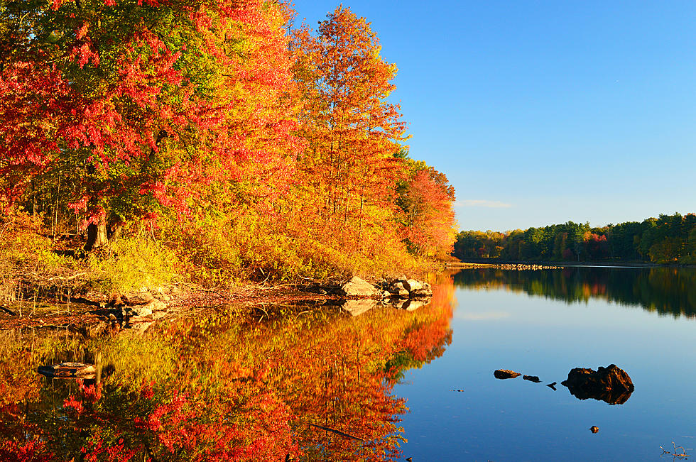 DNR Suggests These Scenic Drives For Fall Colors in Northern Minnesota