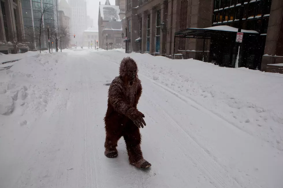 This Minnesota County Has The Most Bigfoot Sightings