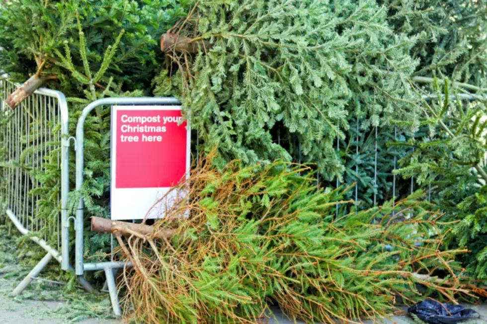 Here’s Where You Can Get Rid Of Your Christmas Tree