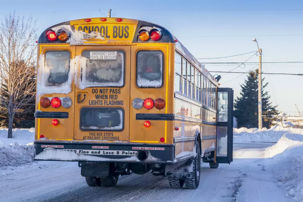 MN State Patrol: School Bus Stop-Arm Violations A Problem In 2019
