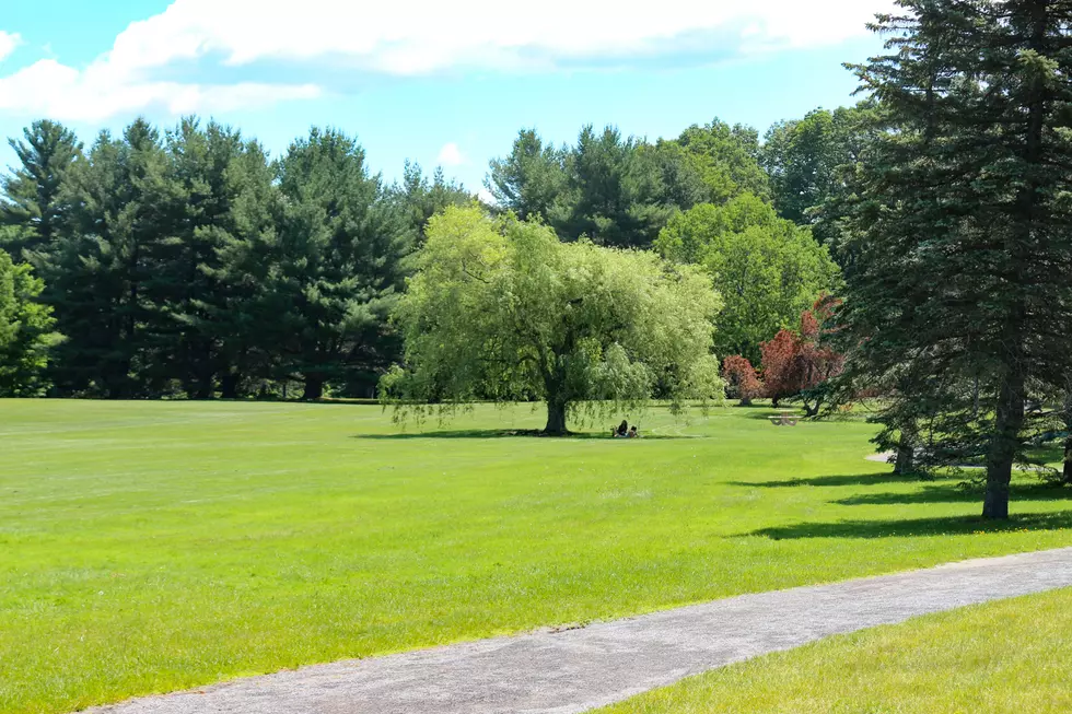 Wisconsin Teacher Admits To Pooping In Public Park For Years