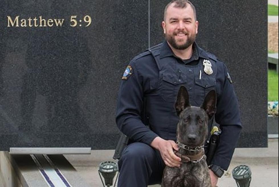 Duluth Police K9 Officer Luna Receives Body Armor Donation