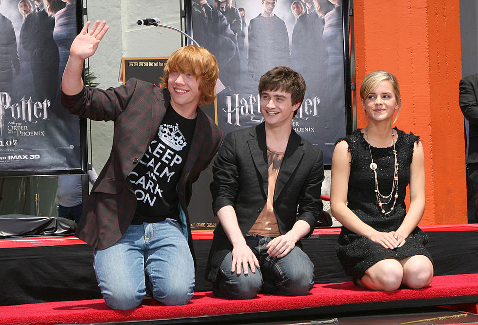 Website Wants To Pay You $1,000 To Watch Every Harry Potter Movie