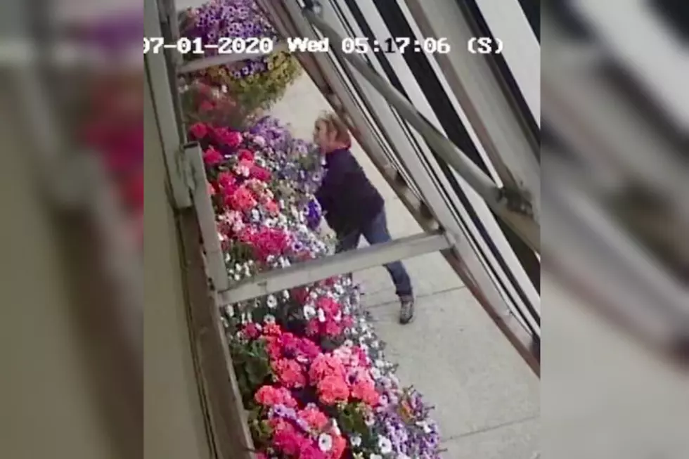 Busted! Woman Caught Stealing Flowers From Superior Restaurant
