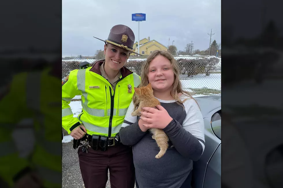 Minnesota State Patrol Trooper Saves Kitten Leo &#038; Finds Him A Home