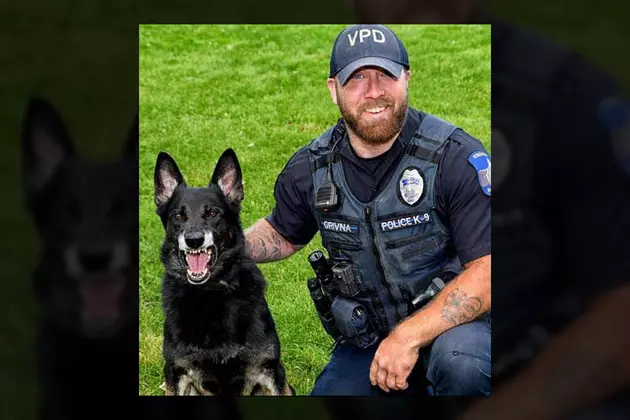 Virginia PD&#8217;s K-9 Teddy Apprehended Eveleth Shooting Suspect