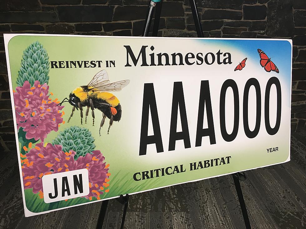 Minnesota DNR Unveils New Critical Habitat License Plate