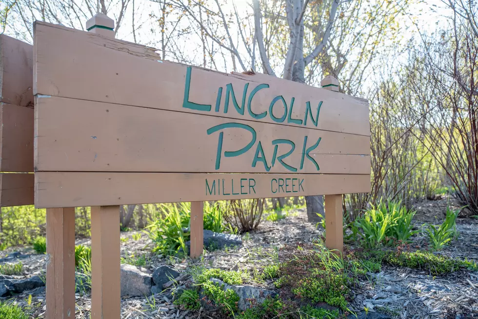 Virtual Meeting Scheduled to Discuss Lincoln Park Under-Bridge Space