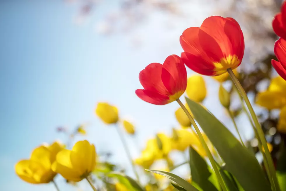 The Weather Channel: Expect Early And Warmer-Than-Average Spring