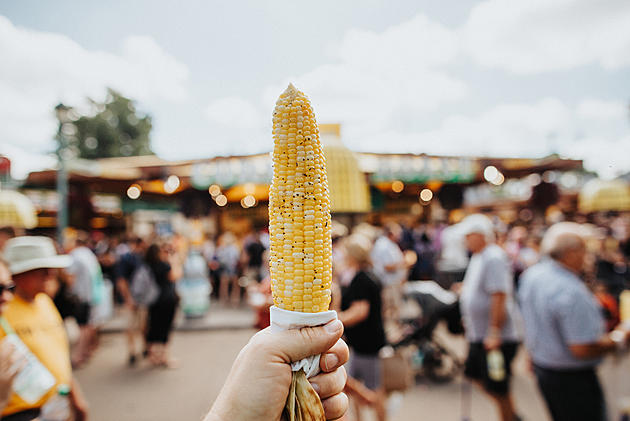 Minnesota State Fair Says They Are Still Planning 2021 Event