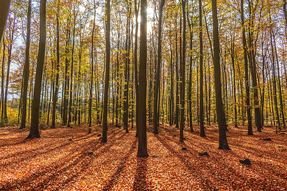 Weather Channel Releases Late Summer, Fall Outlook For Duluth