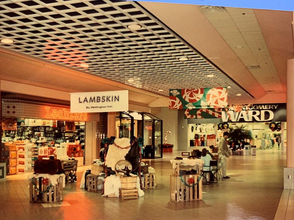 Famous Footwear at Miller Hill Mall - A Shopping Center in Duluth, MN - A  Simon Property